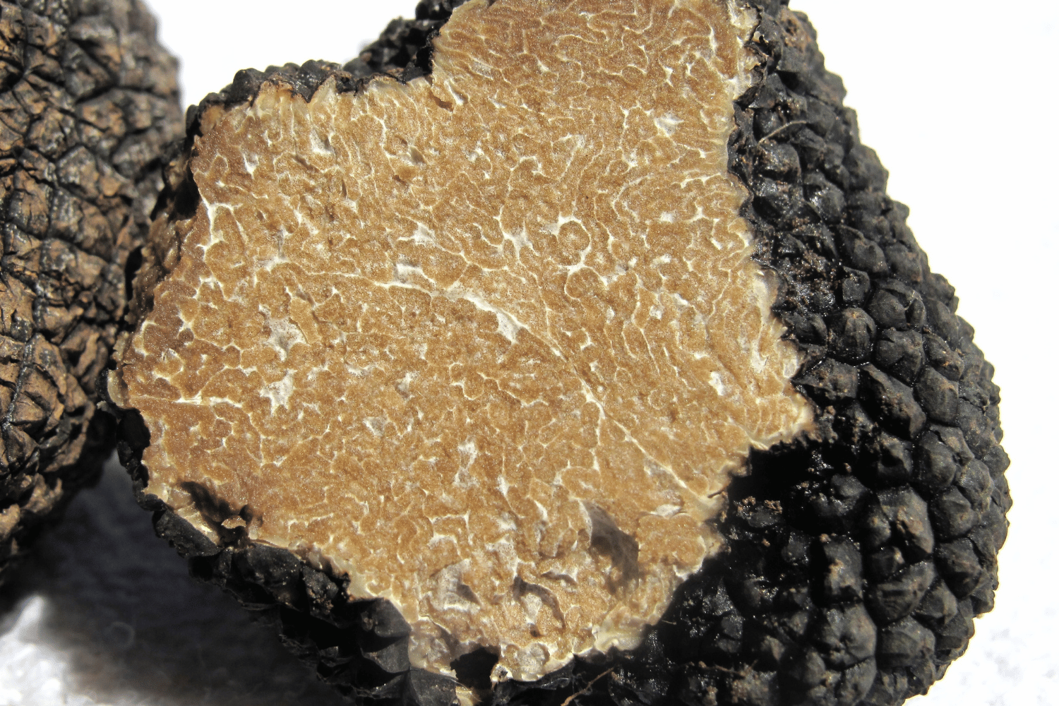 ALTARTUFO