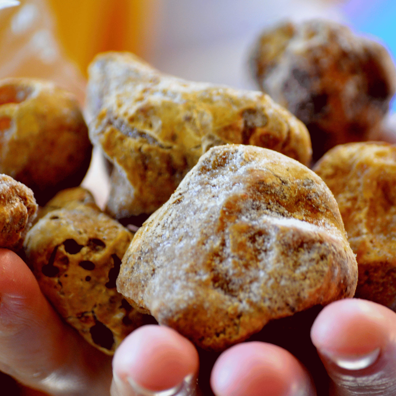 Grammi di Tartufo nelle mani ti un signore che li porge