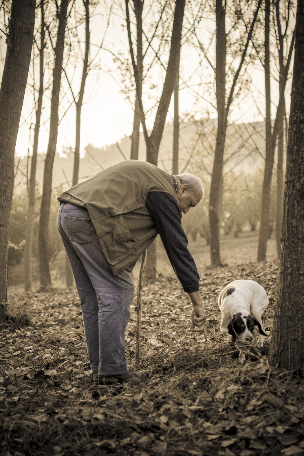 ALTARTUFO